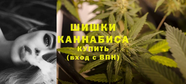 крисы Абдулино