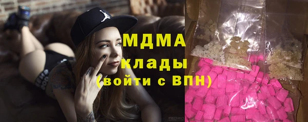 стаф Алзамай