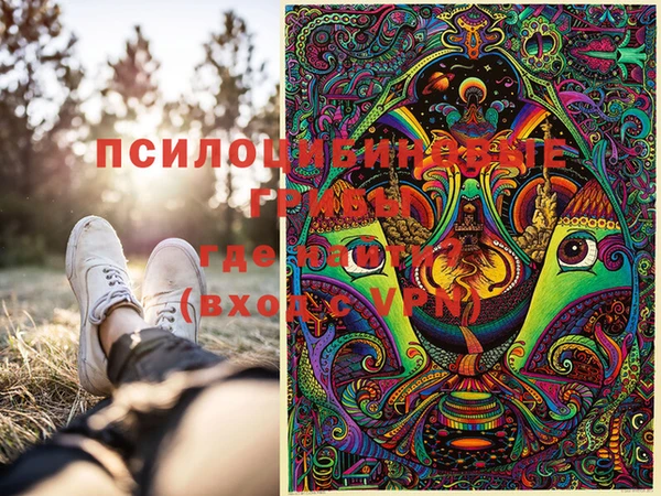 крисы Абдулино
