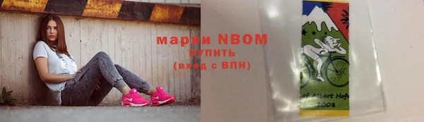 стаф Алзамай