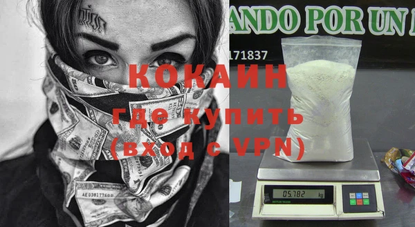 стаф Алзамай