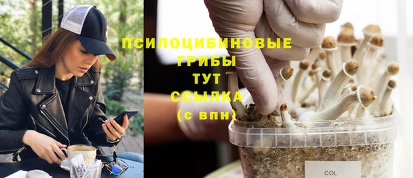 крисы Абдулино