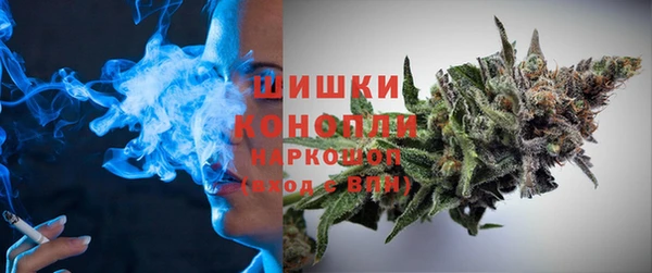 крисы Абдулино
