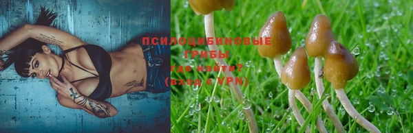 кокаин премиум Алексин